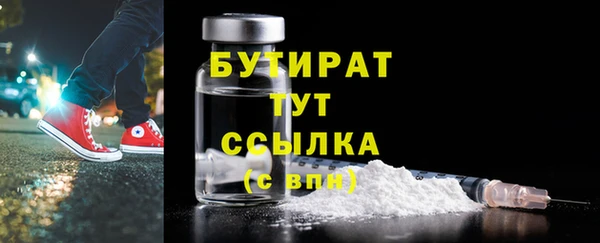 прущие грибы Переславль-Залесский