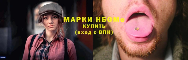 прущие грибы Переславль-Залесский