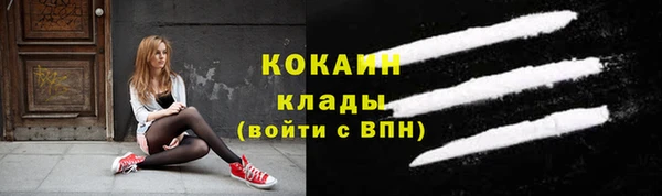гашик Анжеро-Судженск