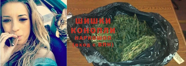 прущие грибы Переславль-Залесский